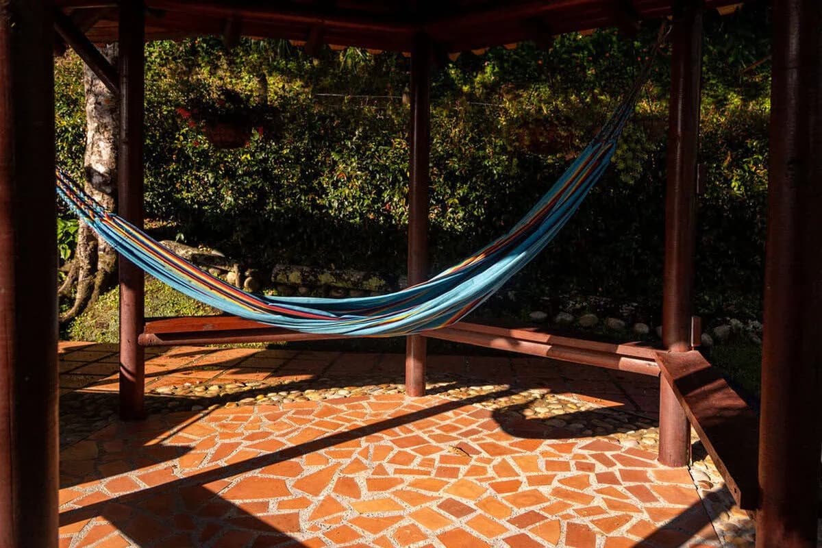 Gourmet kitchen equipped for birthday cake preparation